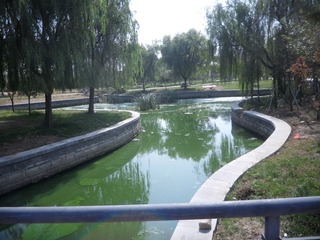 SAM_0028