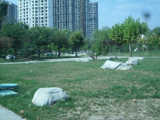 SAM_0031