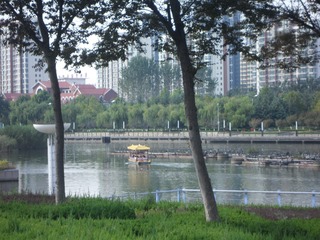 SAM_0036