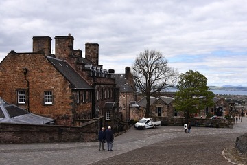 DSC_3390-1