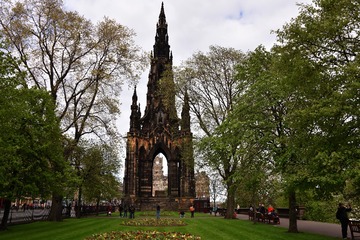 DSC_3481-1