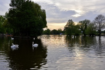DSC_2271-1
