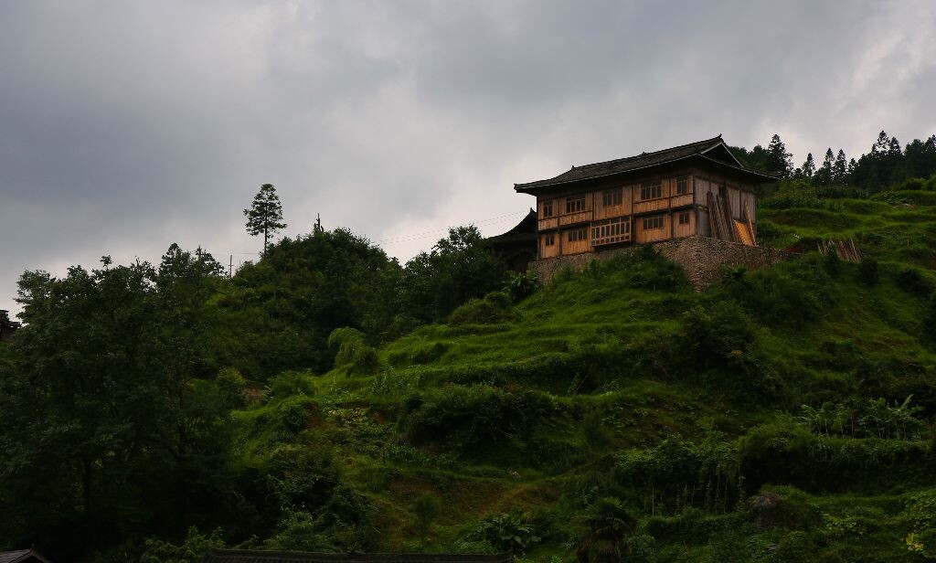 拍摄于雷公山。
