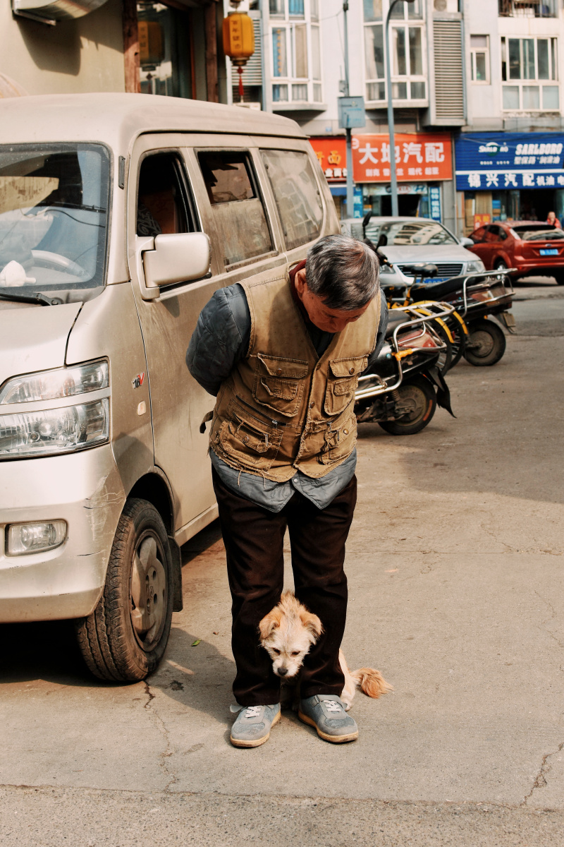 我频繁地思考森山大道的《狗》,除去社会,历史时代因素,人面对凶恶的"