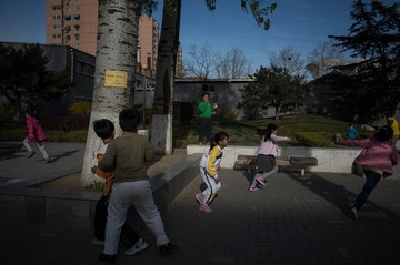 Y0050295