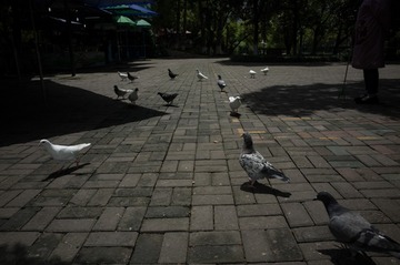 Y0051027