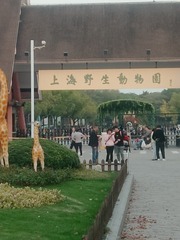 151858