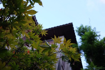 D8B9F876-63A4-4F5D-A4C5-889A7E326749/L0/001
