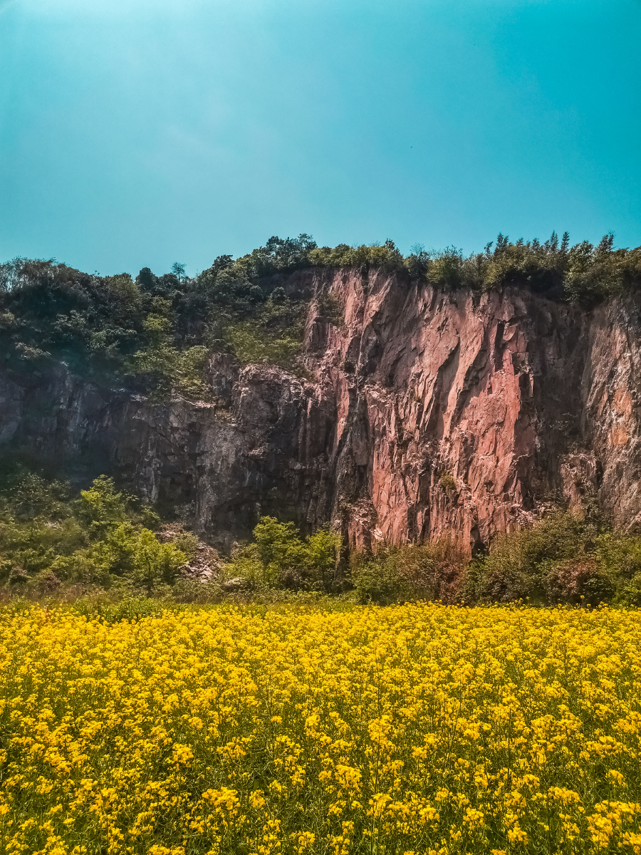湖州—康山春日!后期:lightroom