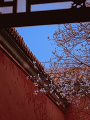 FEFA33CD-F203-4F2F-A79A-C401C6F62F54/L0/001
