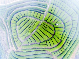 DJI_0183