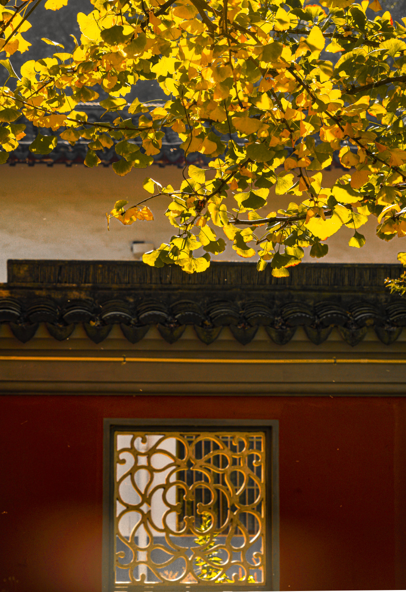 南京栖霞寺秋色