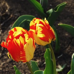001