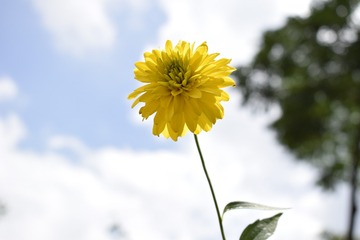 _DSC0033