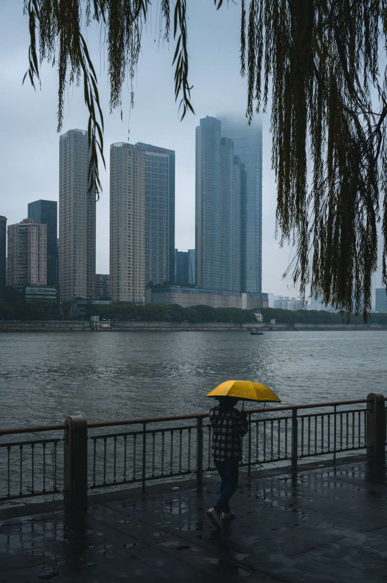 我喜欢初秋的城市气温偏低一场秋雨就把城市变成了冷色调
