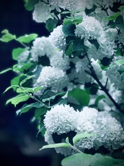 D673419A-CB30-4A04-A3EB-9A88F20F01D4/L0/001