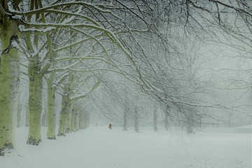 冬末的一场雪
