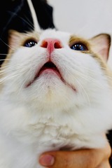 13195