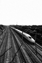 319098