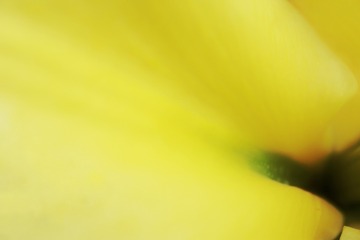 3024056