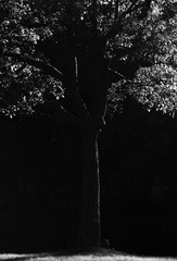 B5F93842-8E30-4749-9319-4BCE7E1B54E9/L0/001