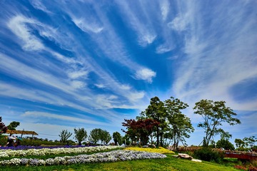 凤尾云-被涂刷过的天空 Brushed Sky （1 of 2）