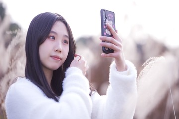22781