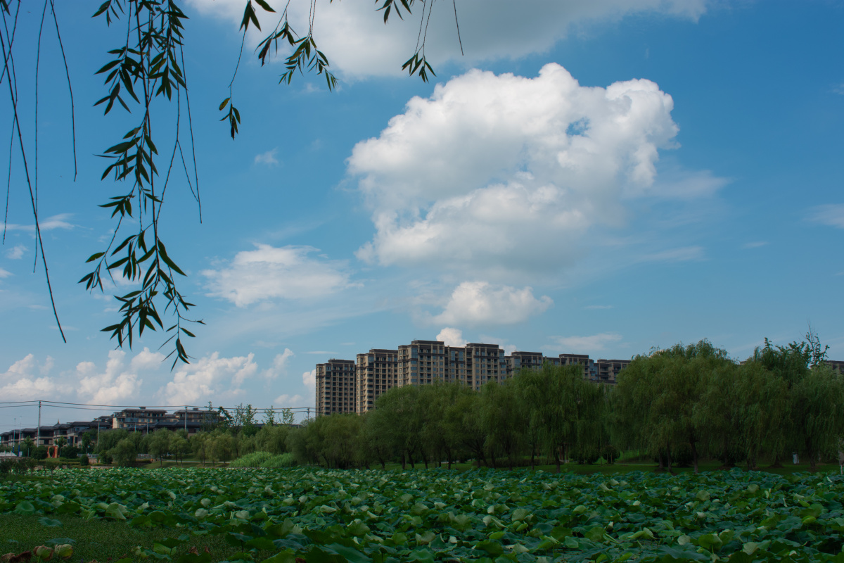 定远包公园