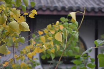 1309268