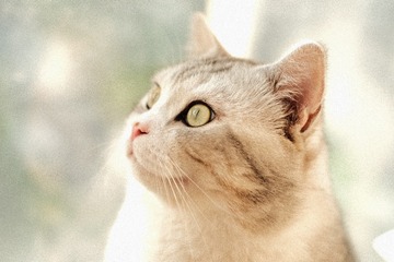 16D5D924-ADF1-46E4-AB57-3F089EB5F1BD/L0/001
