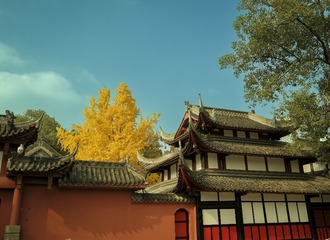 0E350E78-B6EF-4D69-AC63-1EA021EF92A9/L0/001