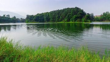 IMG_6720后期