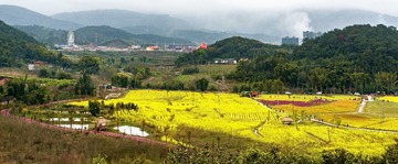 DSC02640后期2