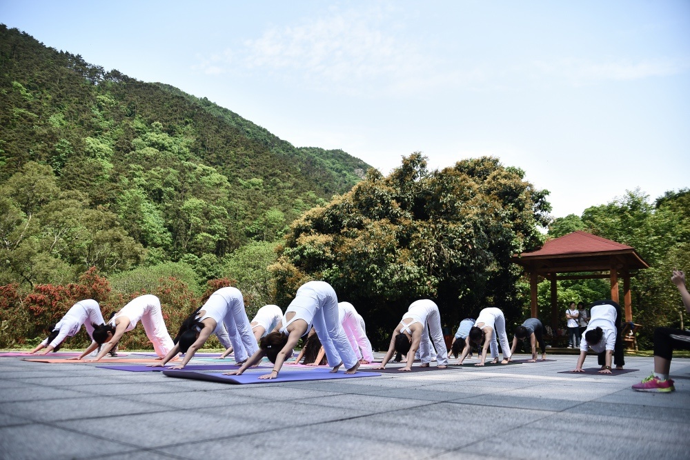 周末瑜伽邂逅森林公园美人美景