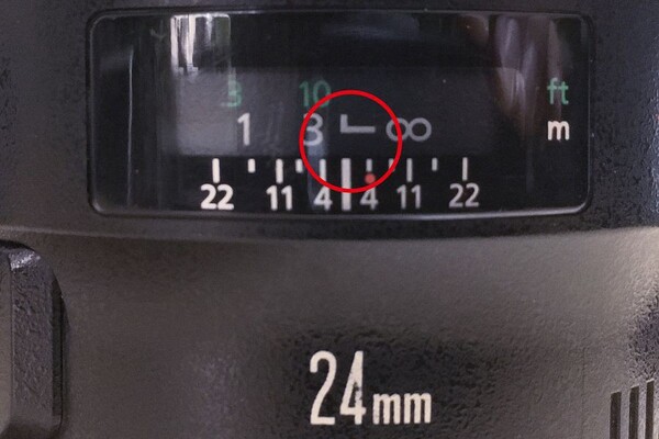 18369053.jpg