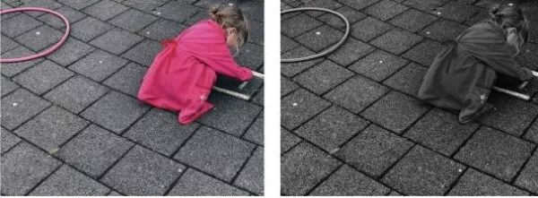 18399394.jpg