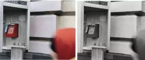 18399396.jpg
