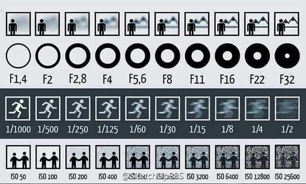 18406385.jpg