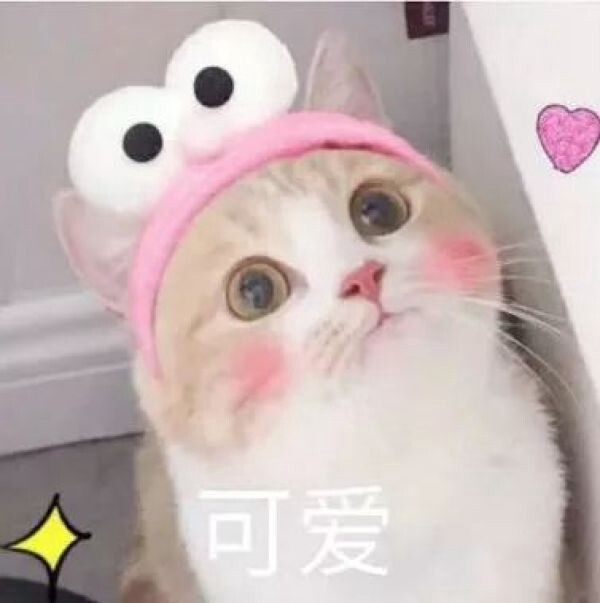 18411428.jpg
