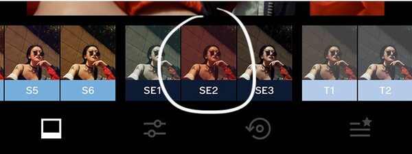 298649205.jpg