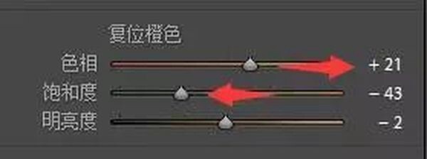 298649384.jpg