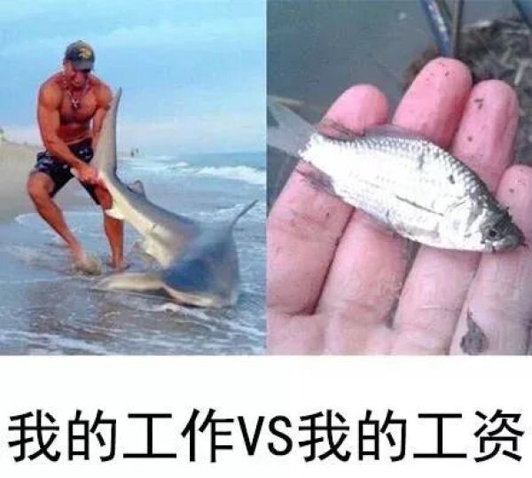 298650079.jpg