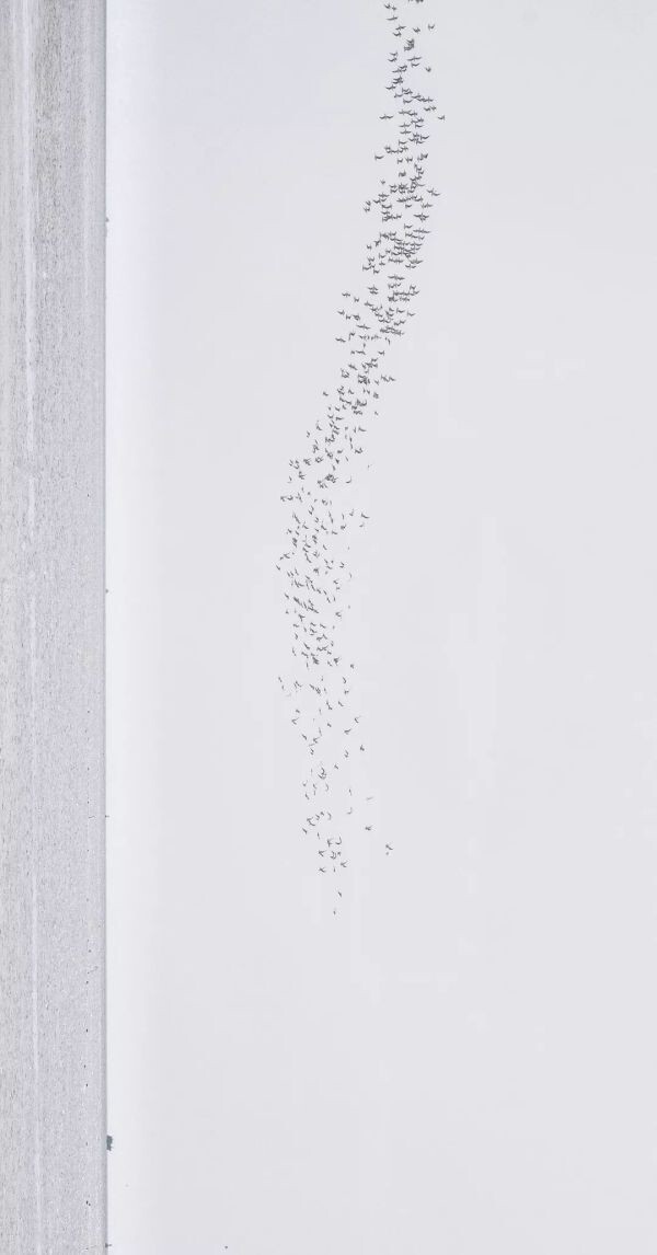 298650353.jpg