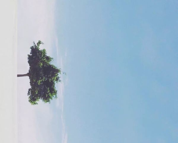 298650356.jpg