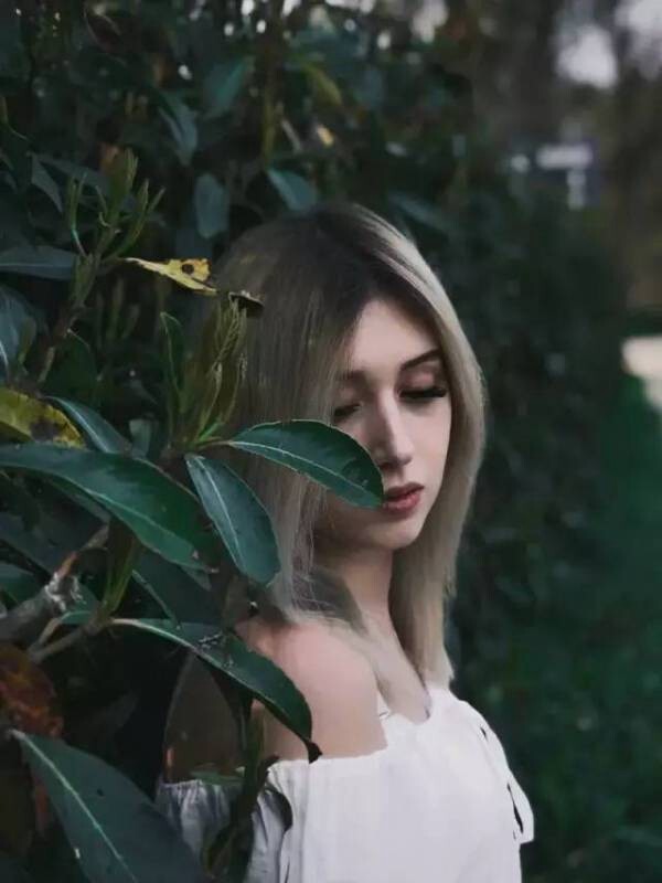 298650567.jpg