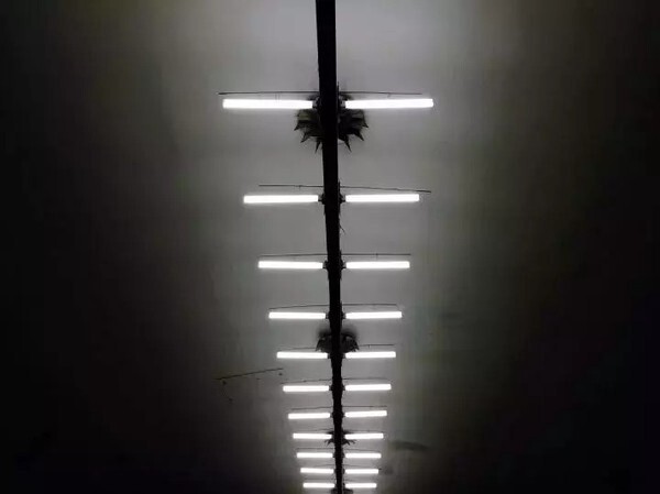 298650878.jpg