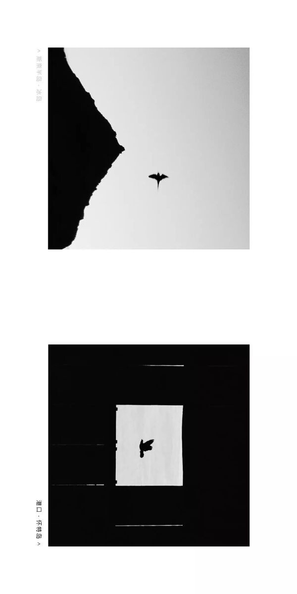 298652555.jpg