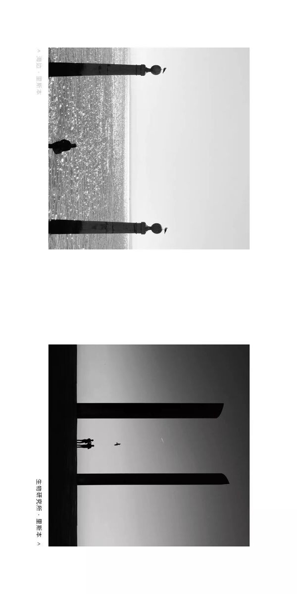 298652562.jpg