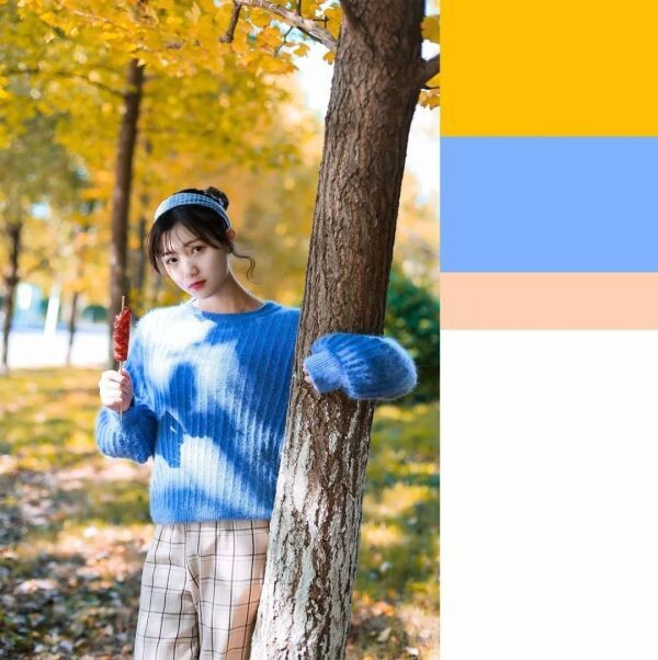 298653026.jpg