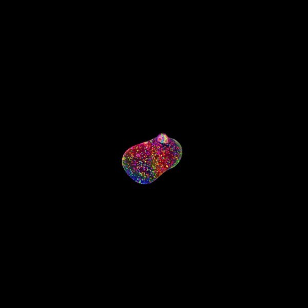 298653616.jpg